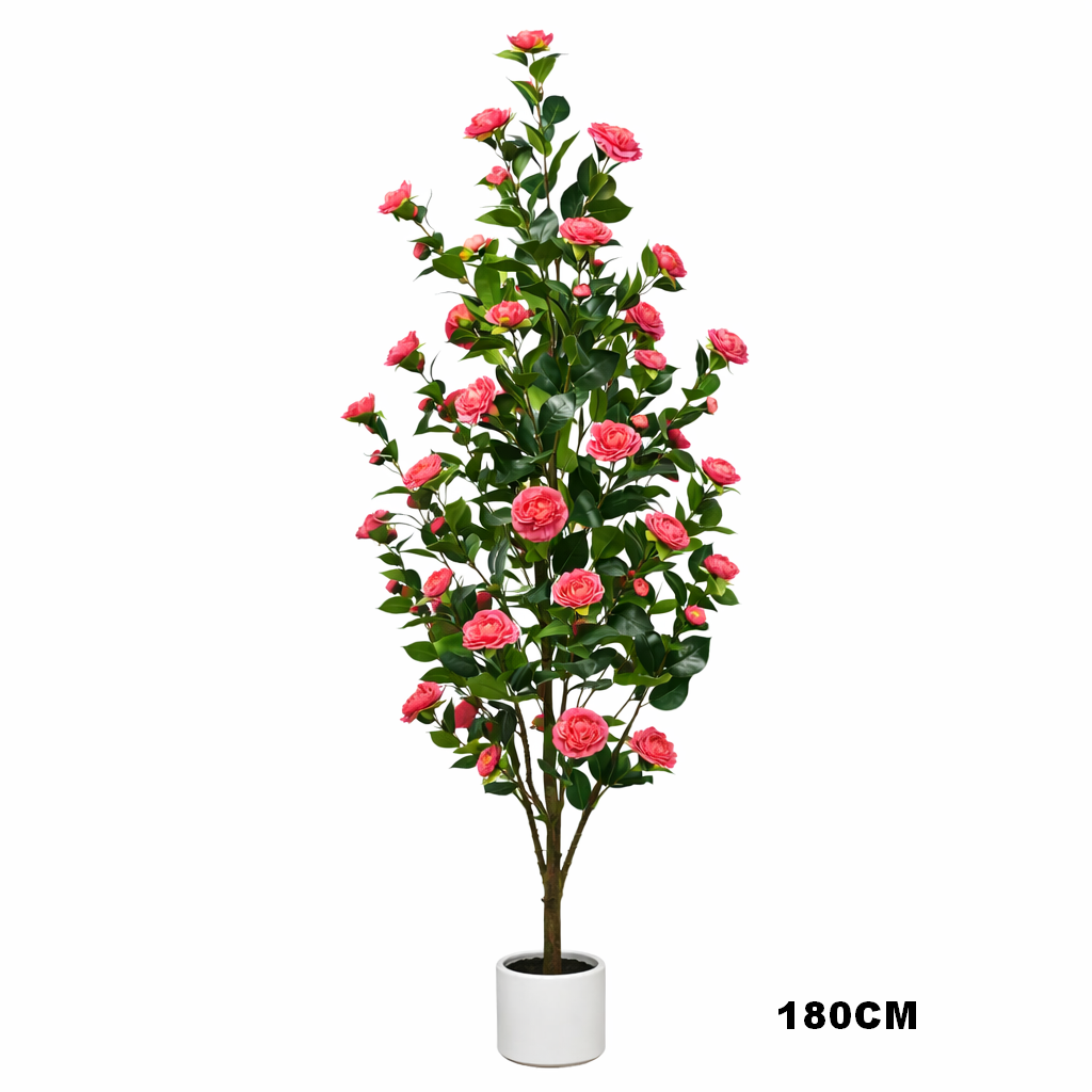 Rose Tree（Red）
